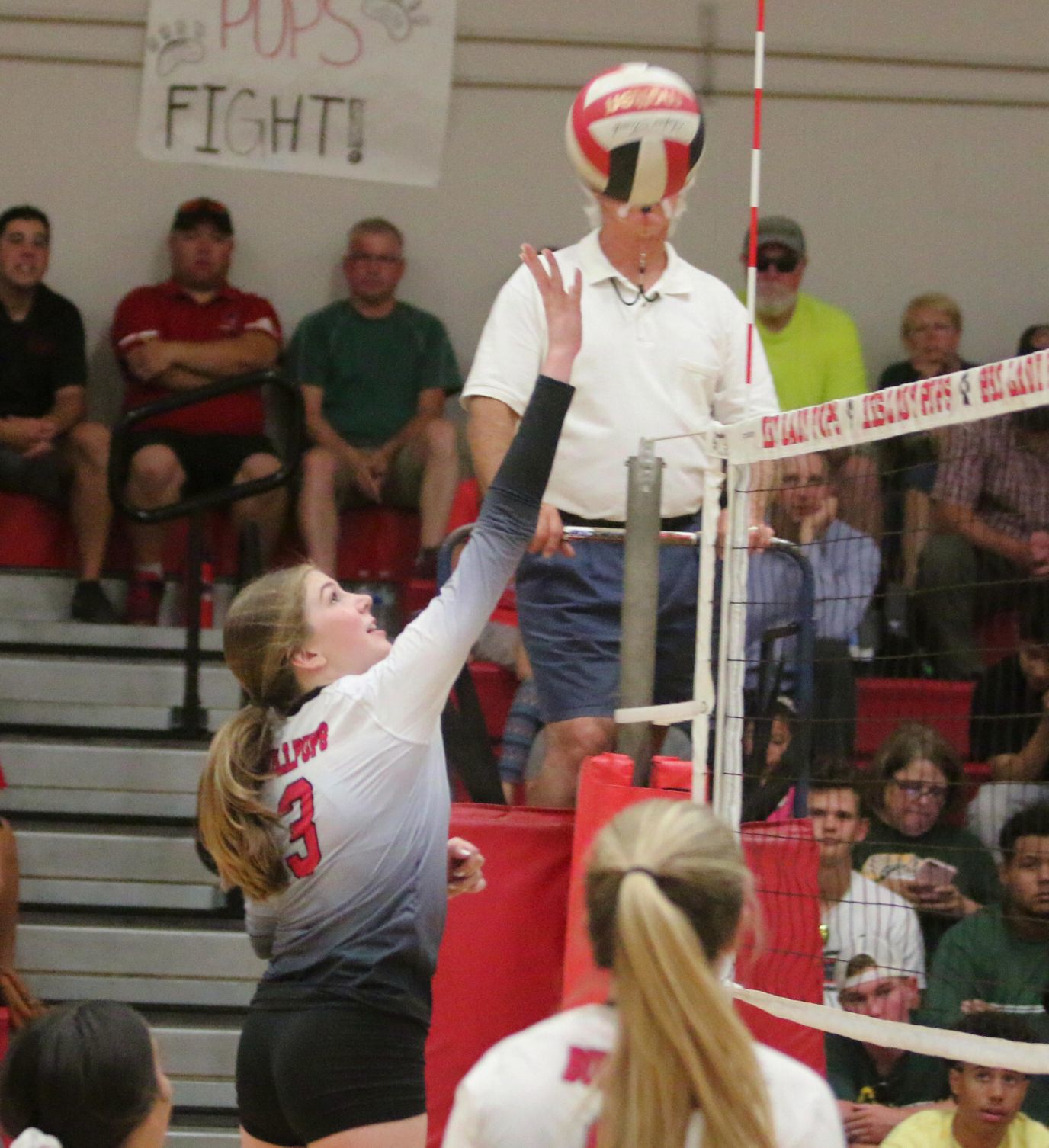 Golden Bears open season with victory over Bullpups
